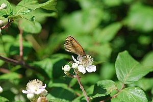 macro_002 